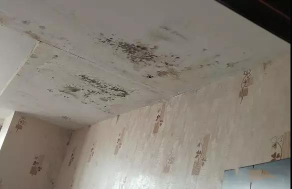 西安屋面伸縮縫滲漏怎么辦？案例告訴你科學(xué)有效的補漏方案
